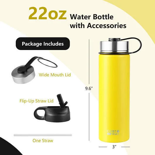 22 Oz Double-walled Insulated Stainless Steel Water Bottle with 2 Lids and Straw