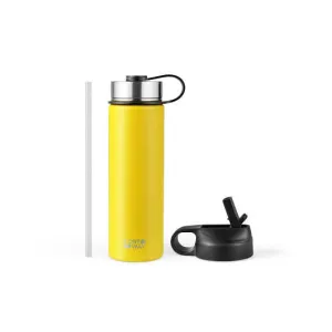 22 Oz Double-walled Insulated Stainless Steel Water Bottle with 2 Lids and Straw