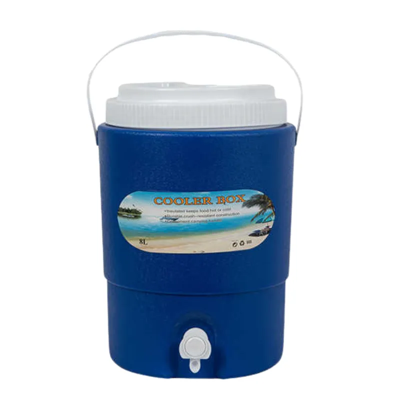 3L 8L Portable Mini Table Cooler Box Premium Bucket Food Preserving Freezer for Picnic Camping Outdoor