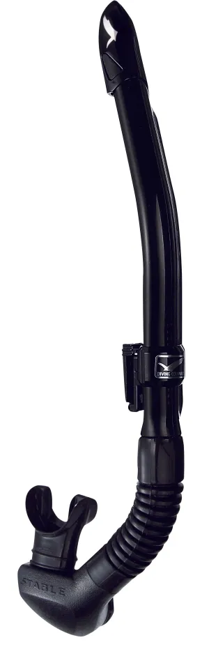 5)leila stable  [1,690B] [MYR216] [SGD69]