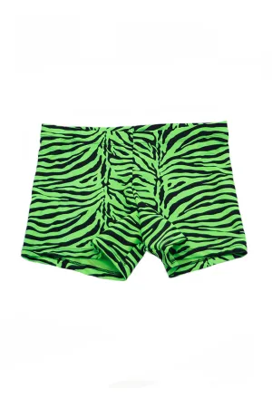 Adult Zebra Booty Shorts