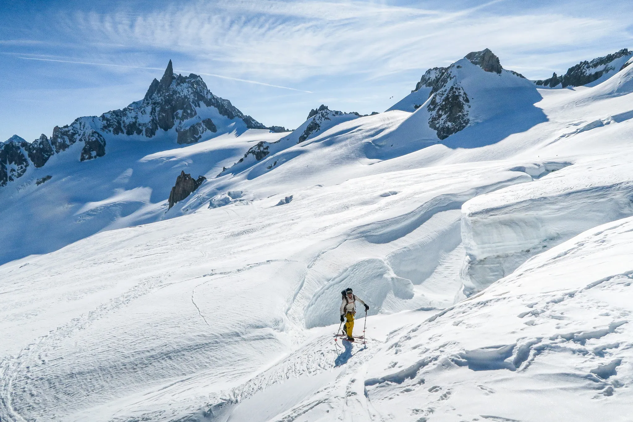Alps Skiing Private