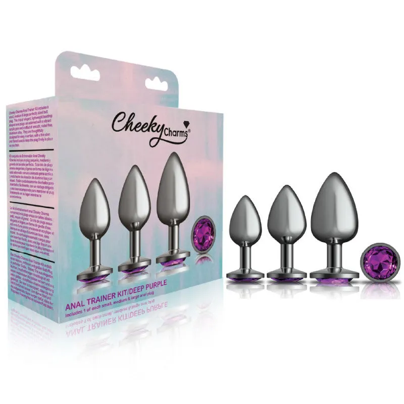 Cheeky Charms - Metal Butt Plug Gunmetal - Round - Deep Purple - Kit