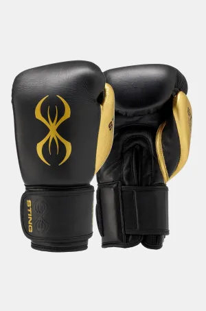 Evolution Boxing Gloves