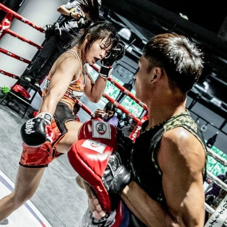 FAIRTEX MICROFIBER BOXING GLOVES - BGV14 - Multiple Colors