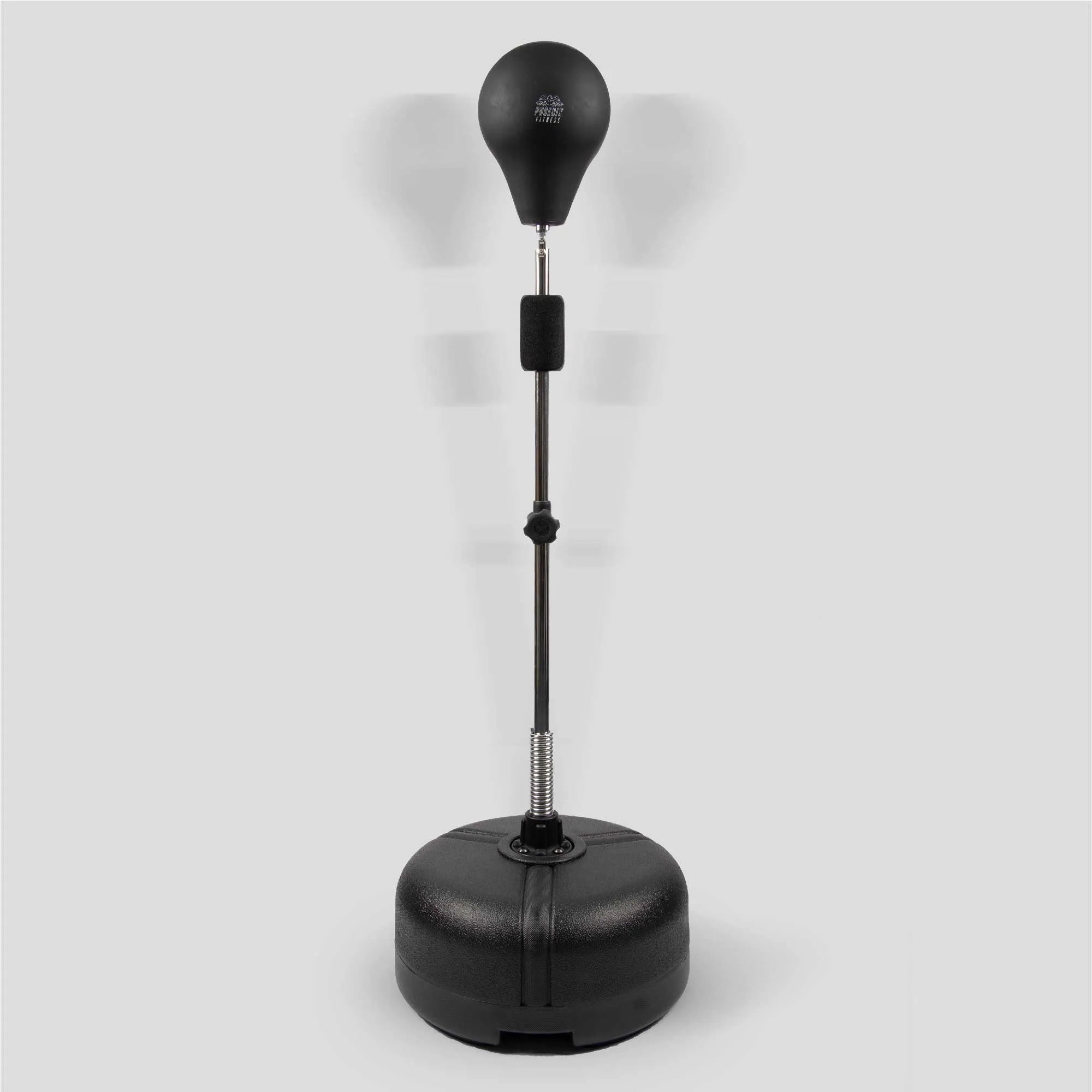 Free Standing Speed Ball