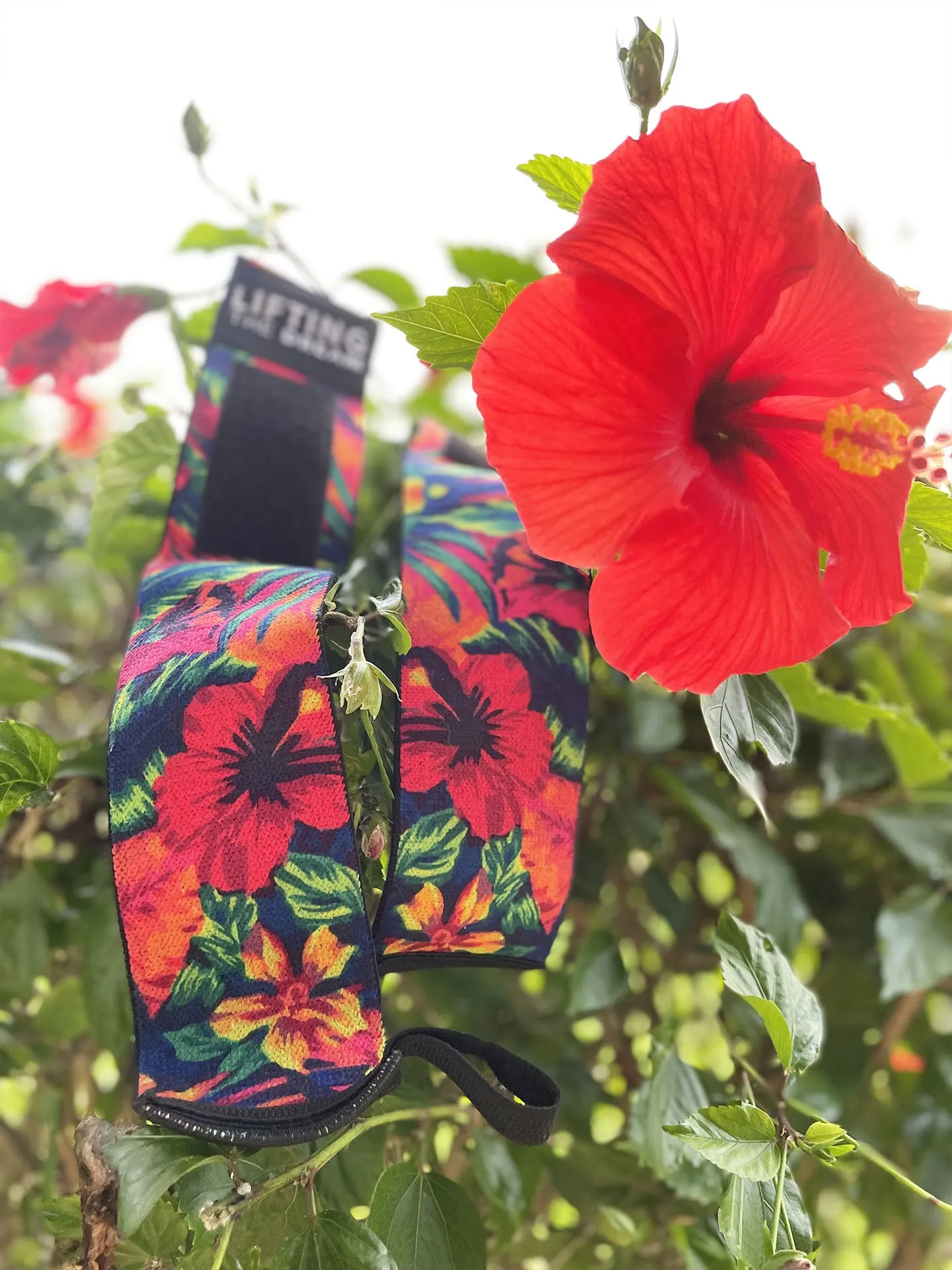 Hibiskiss Wrist Wraps