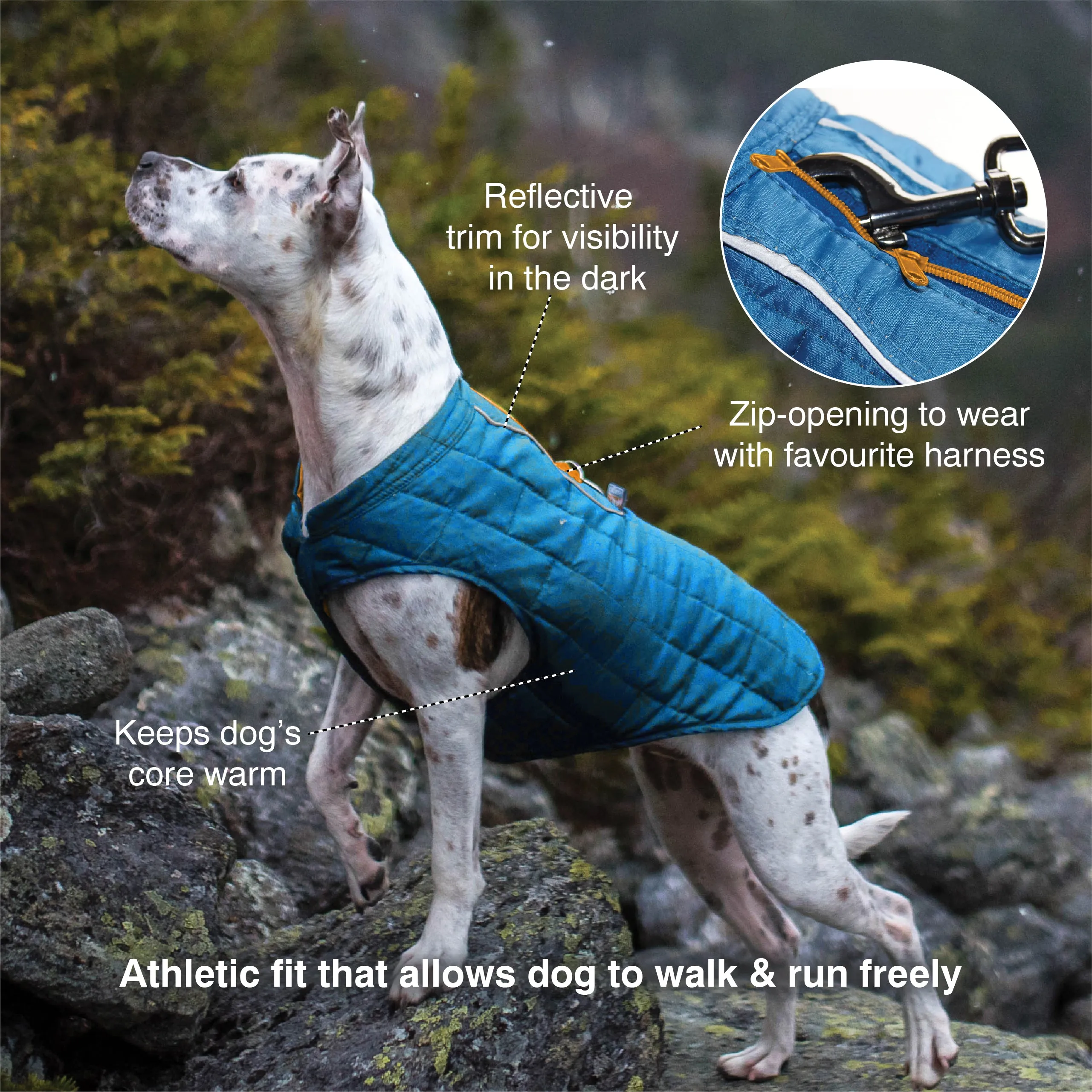 Loft Dog Jacket