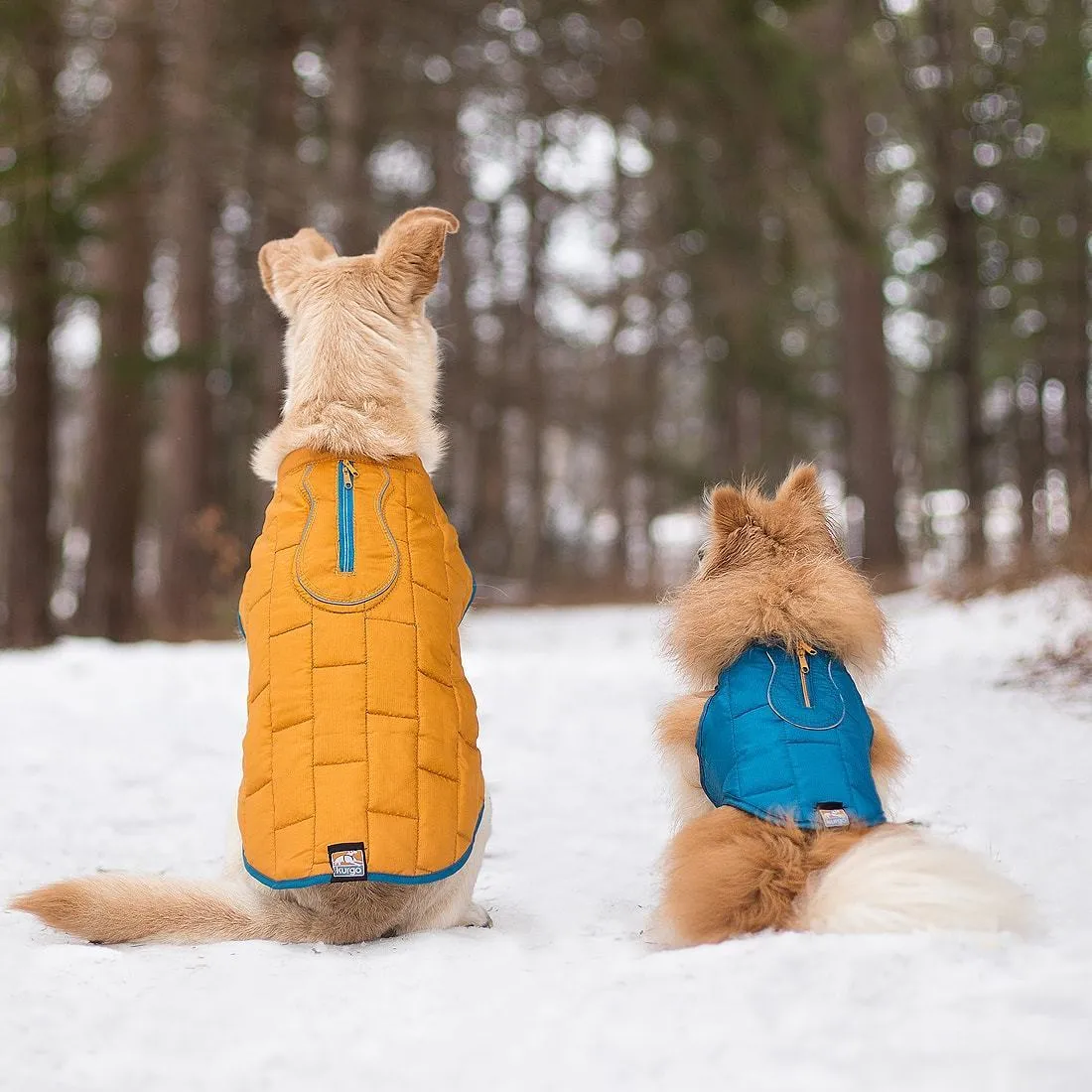 Loft Dog Jacket