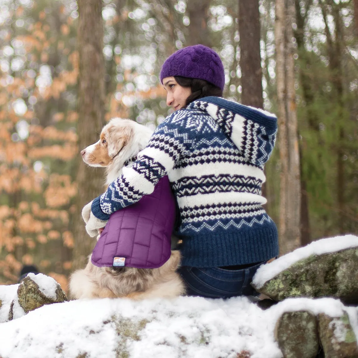 Loft Dog Jacket