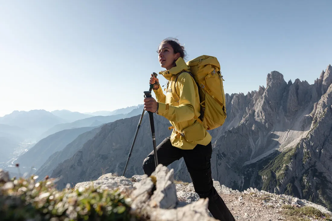Mountain Walking 30 L Backpack MH500