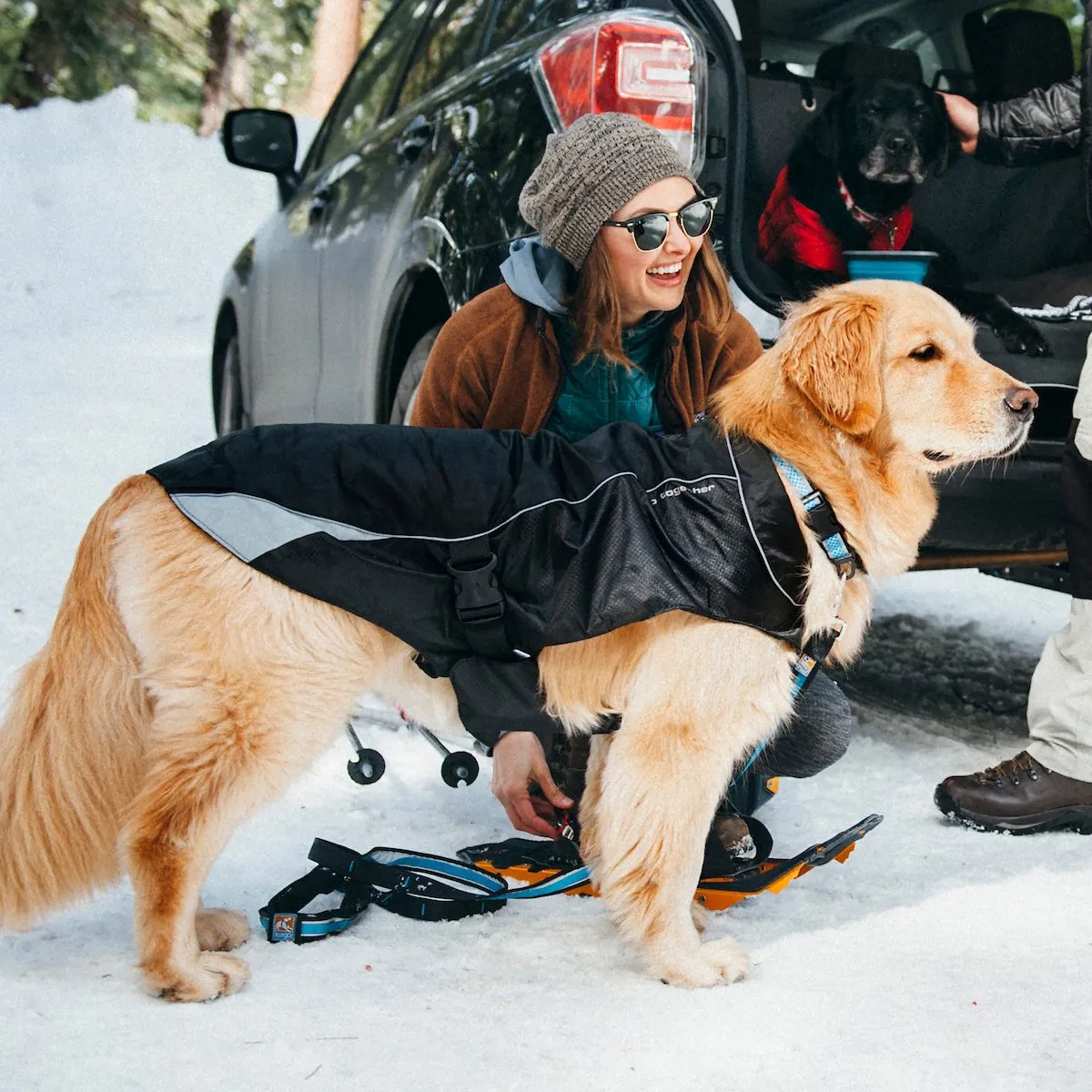North Country Waterproof Dog Coat