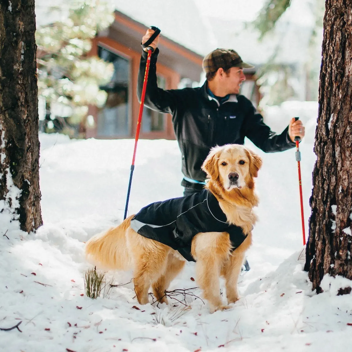 North Country Waterproof Dog Coat