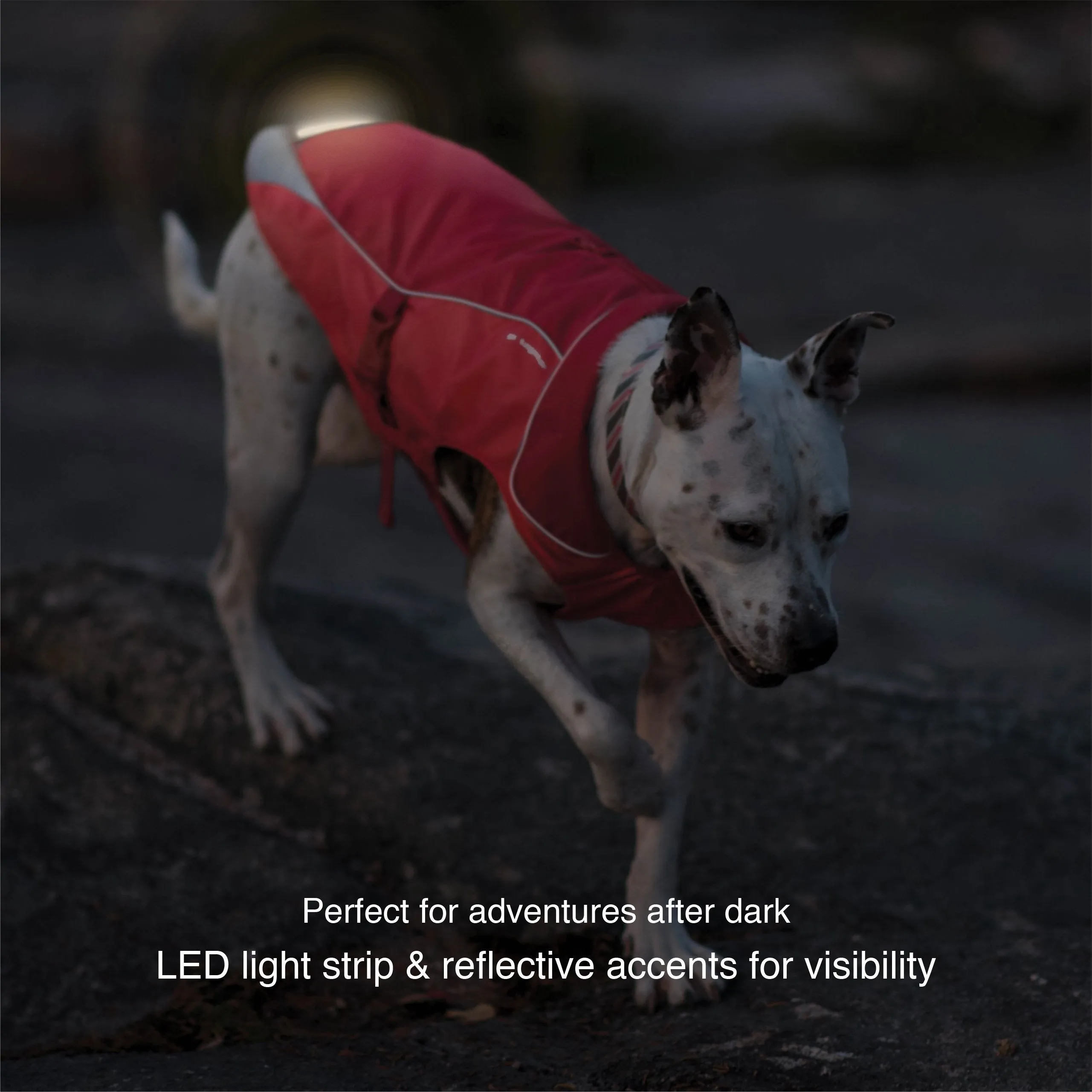 North Country Waterproof Dog Coat