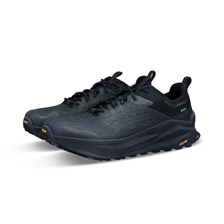 Olympus 6 Hike Low GTX (Men's)