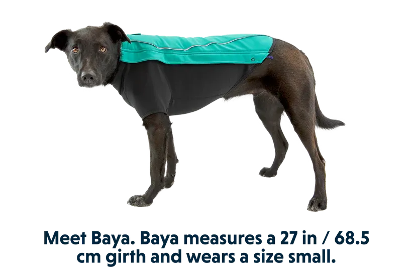 Ruffwear Cloud Chaser - Aurora Teal