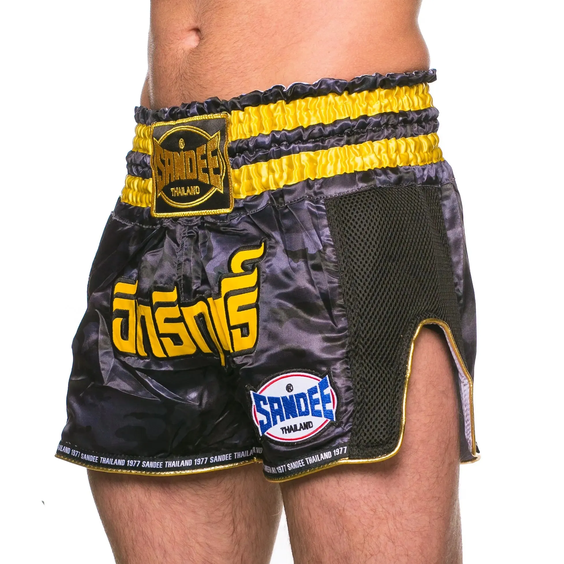 Sandee Supernatural Thai Shorts