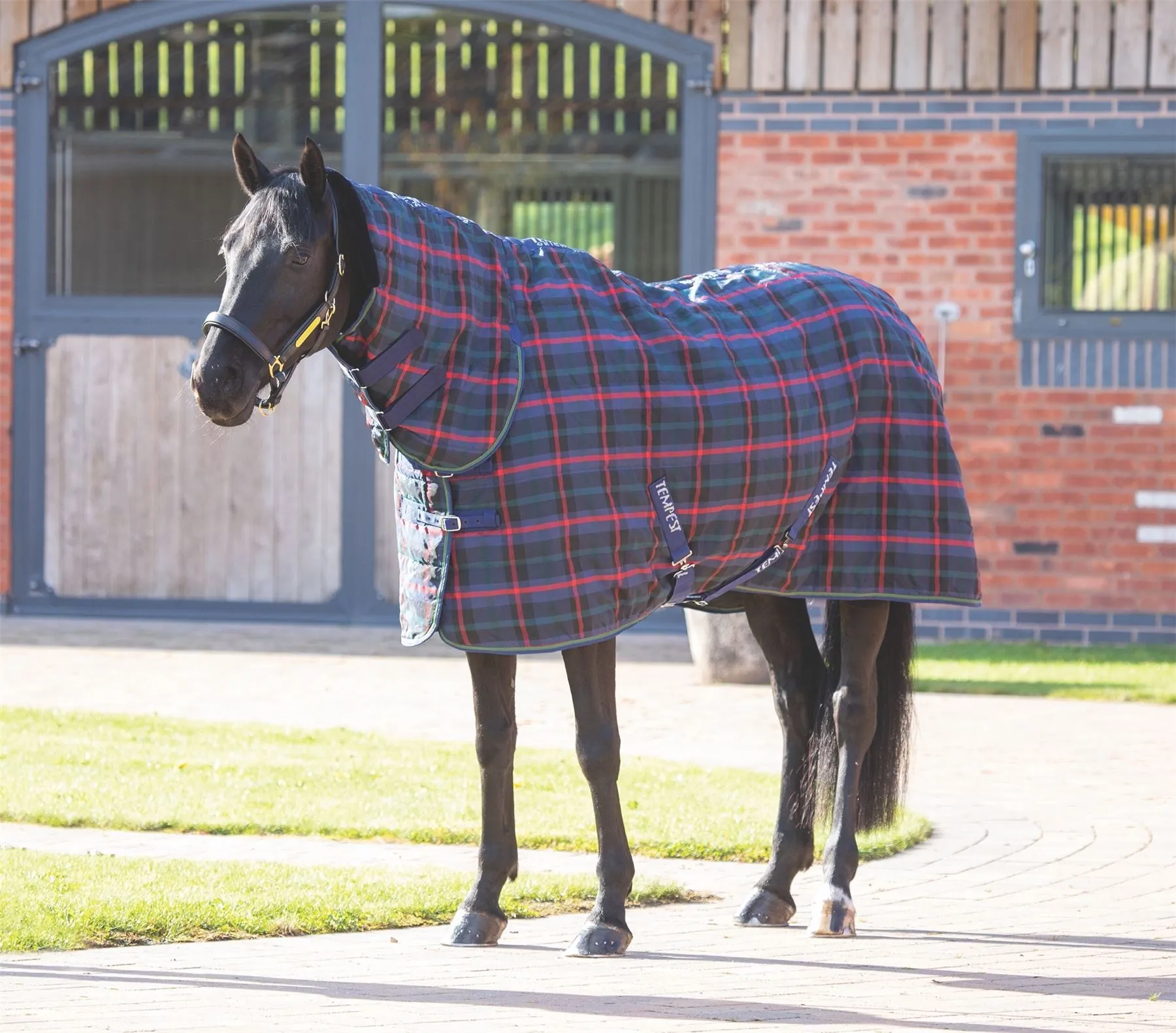 Shires Tempest Plus 100 Stable Combo Rug