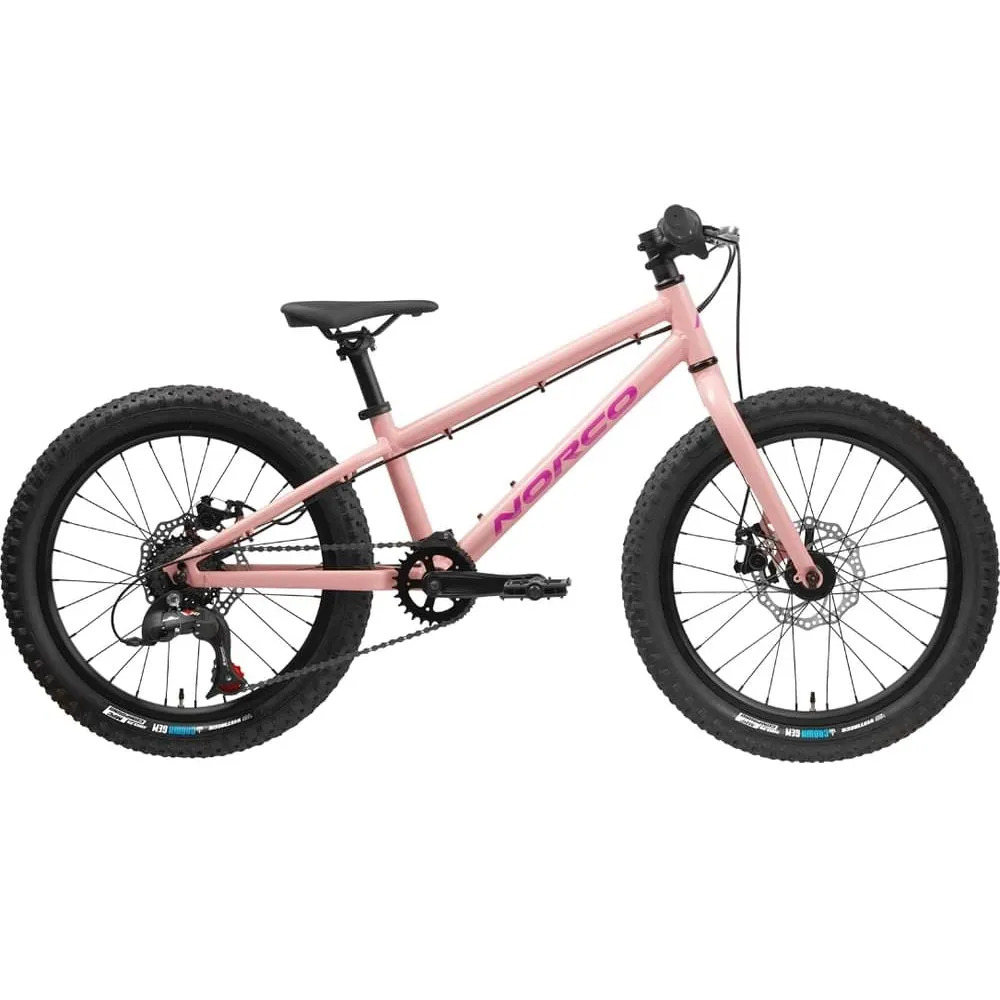 Storm 20 Disc