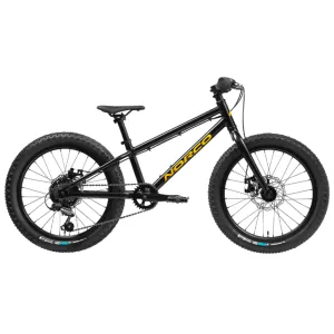 Storm 20 Disc