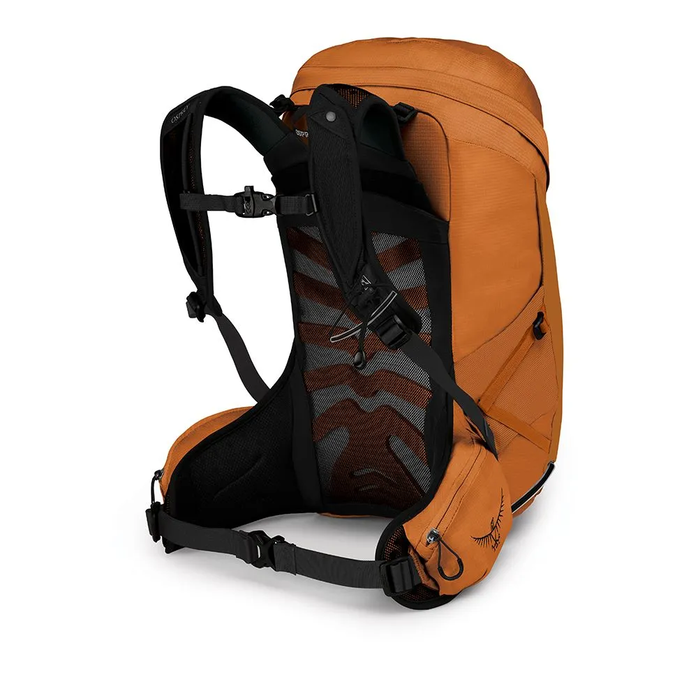 Tempest 24 W