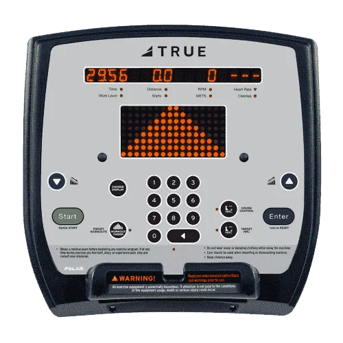 True ES700 Recumbent Bike