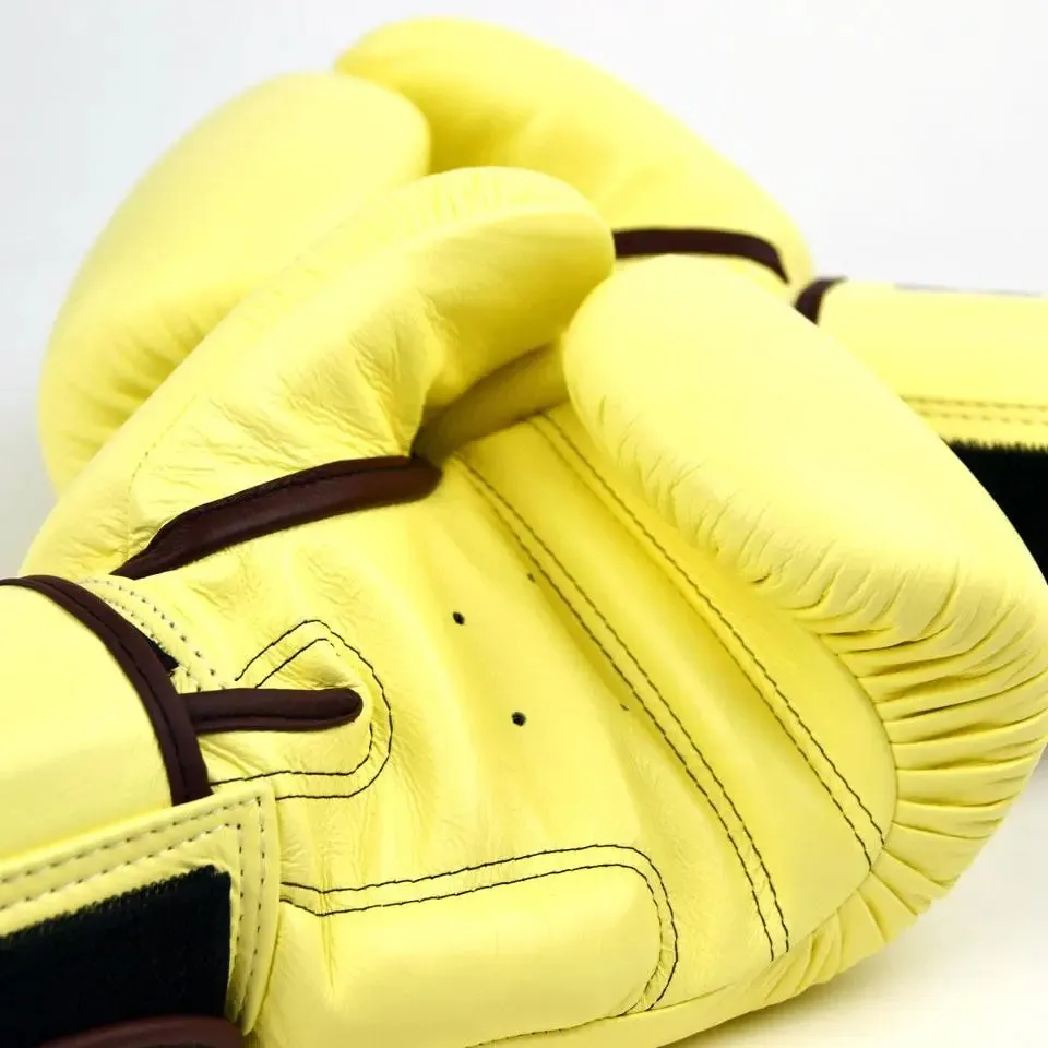 Twins Special Boxing Gloves