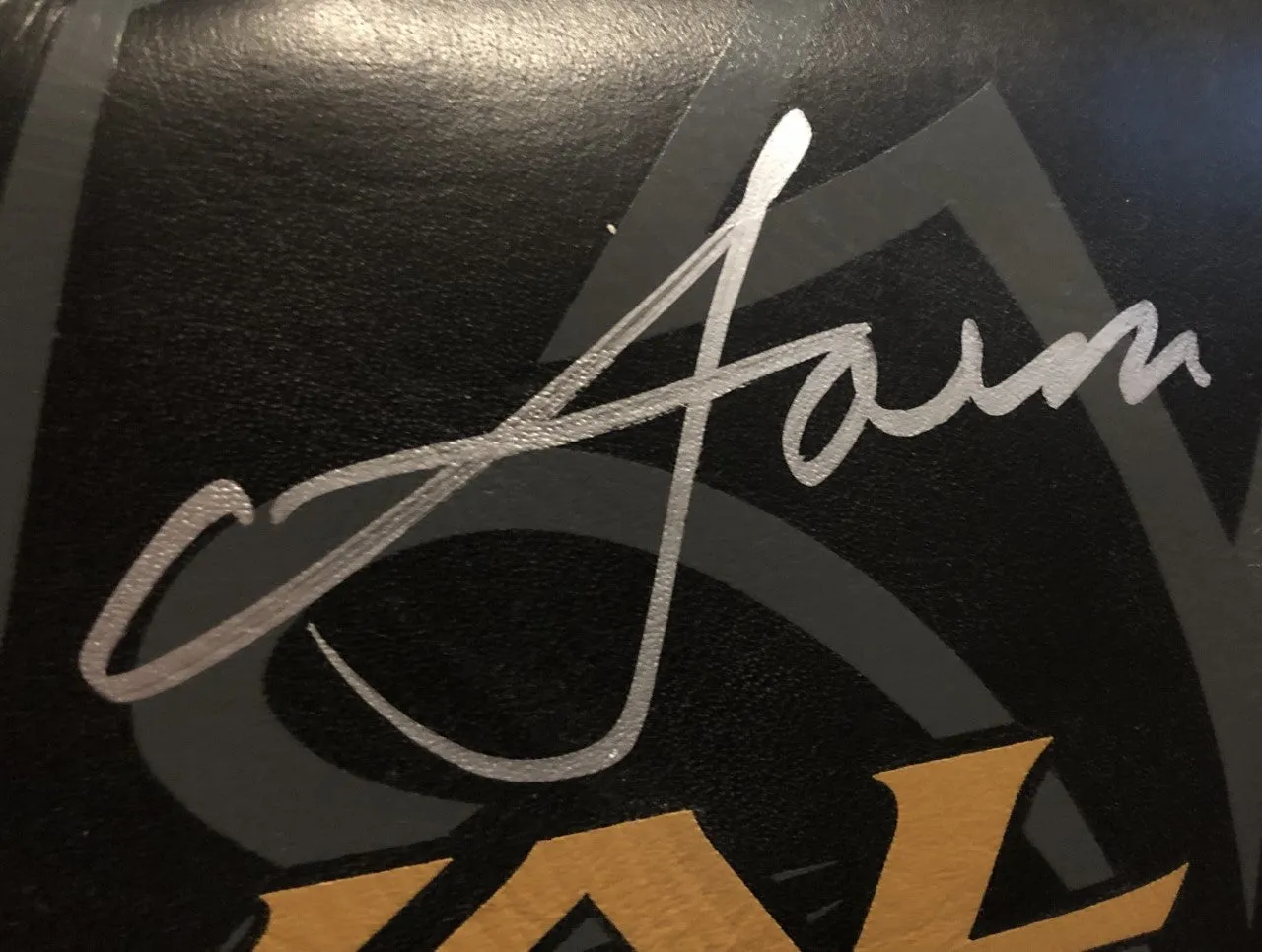 Vasyl Lomachenko Rare Autographed Rival Black Boxing Glove in Silver Signature