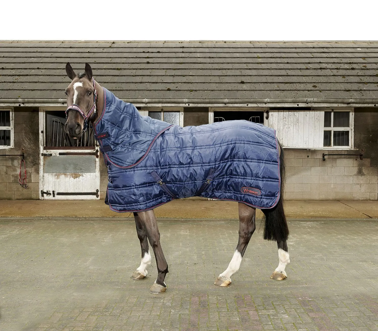 Whitaker Stable Rug Rastrick Combo 250 Gm