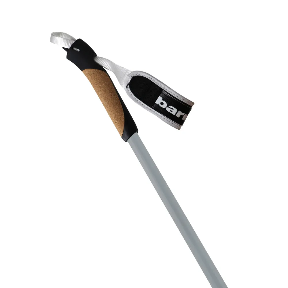 XC-09 Carbon ski poles for Nordic and Roller Skiing, Grey